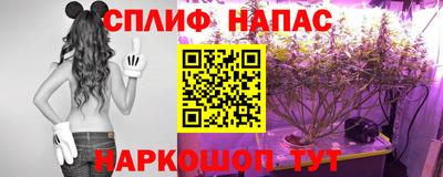 спиды Обь