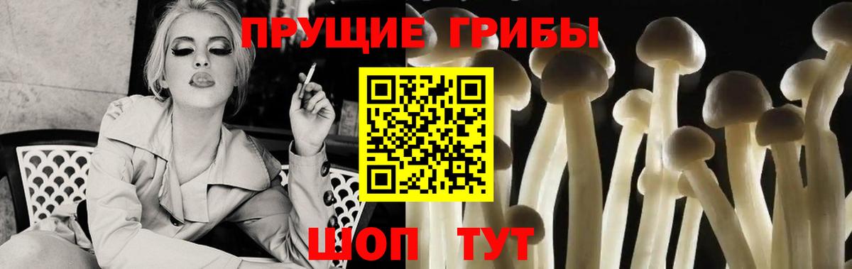 Тимашёвск  Псилоцибиновые грибы прущие грибы  продажа наркотиков  Вход с VPN 