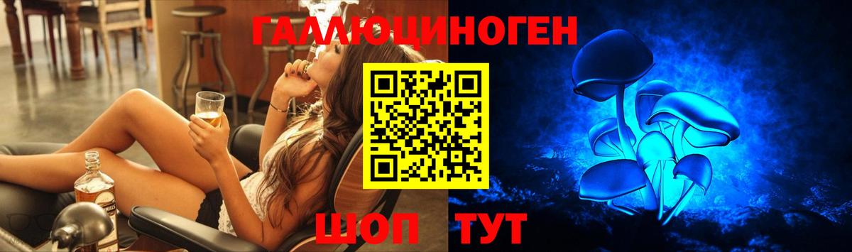 Галлюциногенные грибы прущие грибы Тимашёвск
